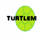 Turtlemir2015