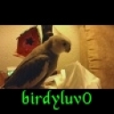 birdyluv0